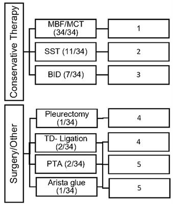 Chylothorax and Chylous-Like Diseases in Children: Clinical Management
